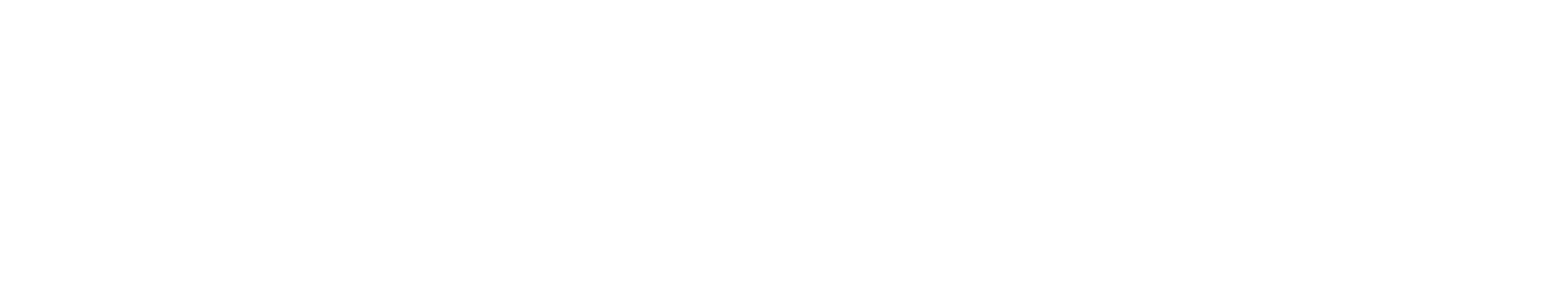 nello-records-logo