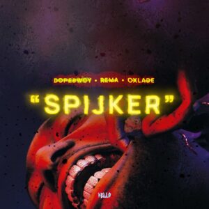 SPIJKER